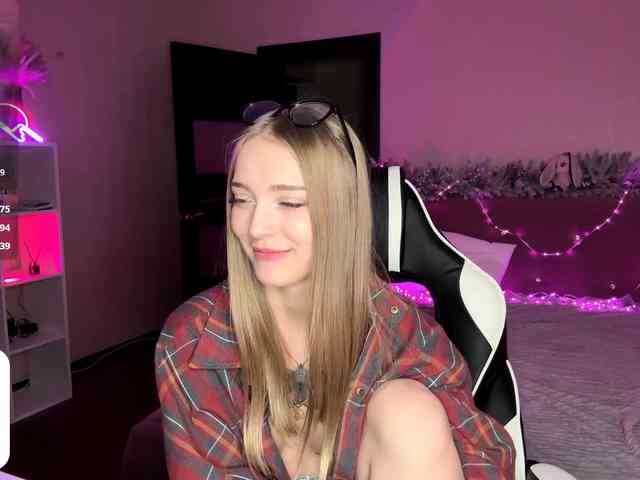 VersieBruegman webcam