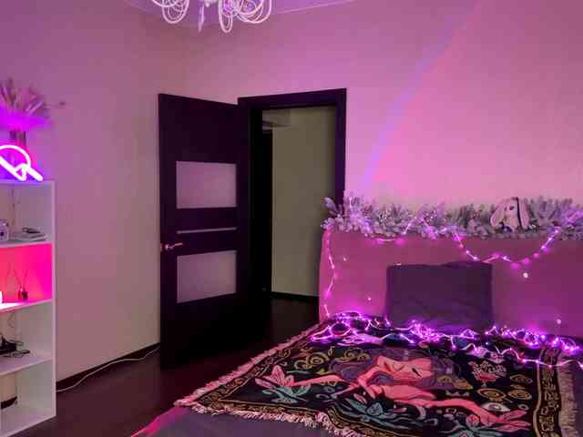 VersieBruegman webcam