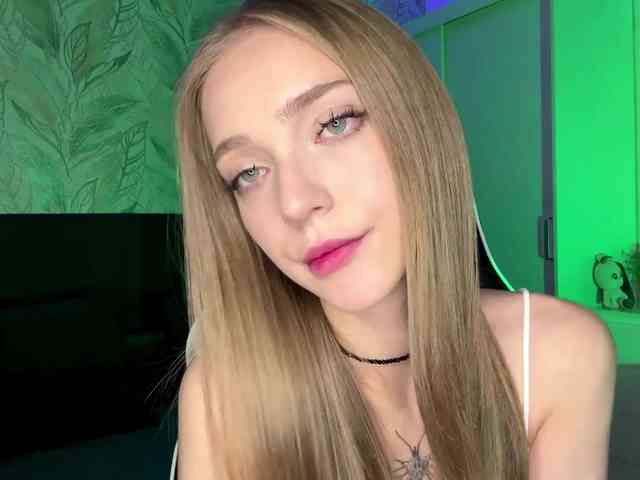 VersieBruegman webcam