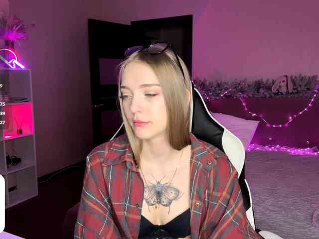 VersieBruegman webcam