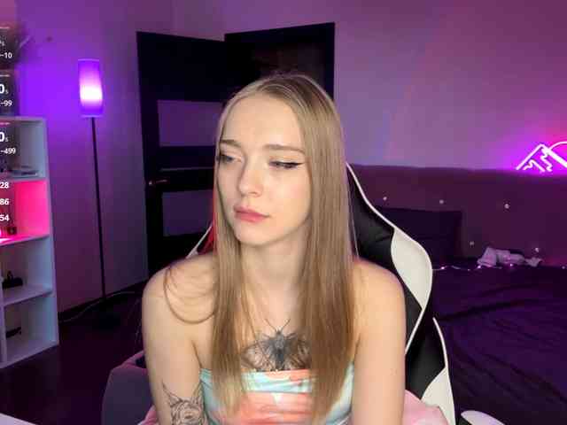 VersieBruegman webcam