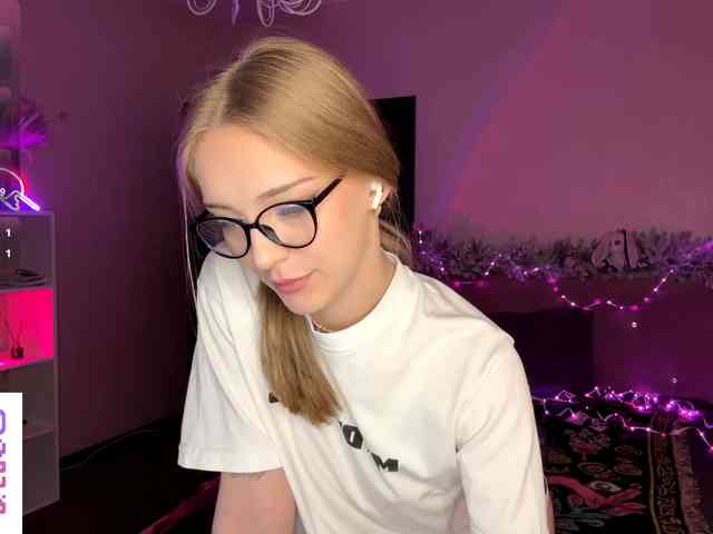 VersieBruegman webcam