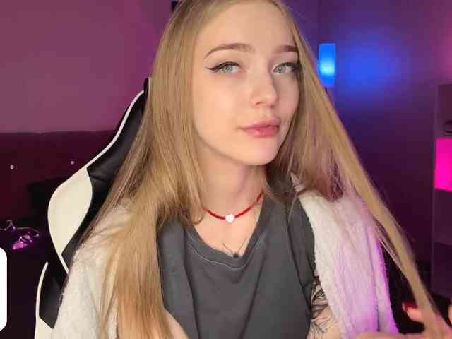 VersieBruegman webcam