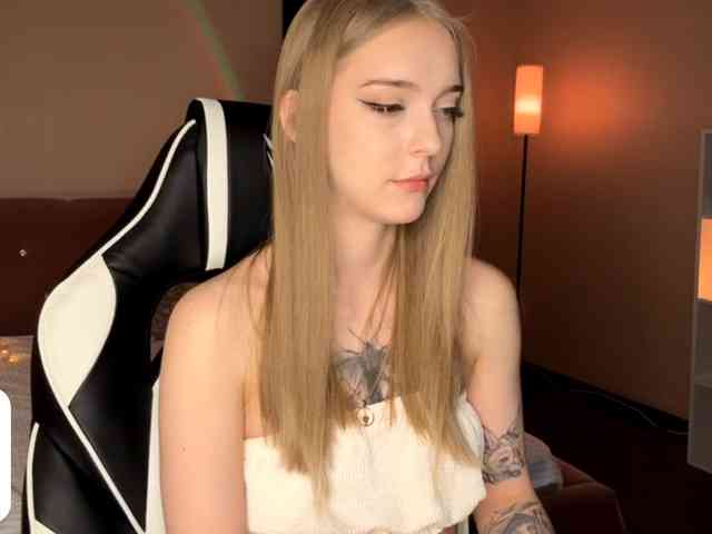 VersieBruegman webcam