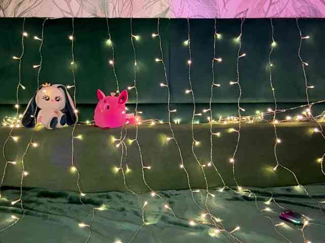 VersieBruegman webcam