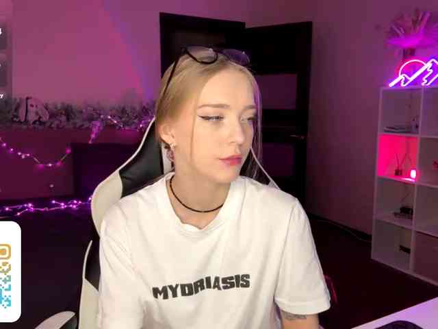 VersieBruegman webcam