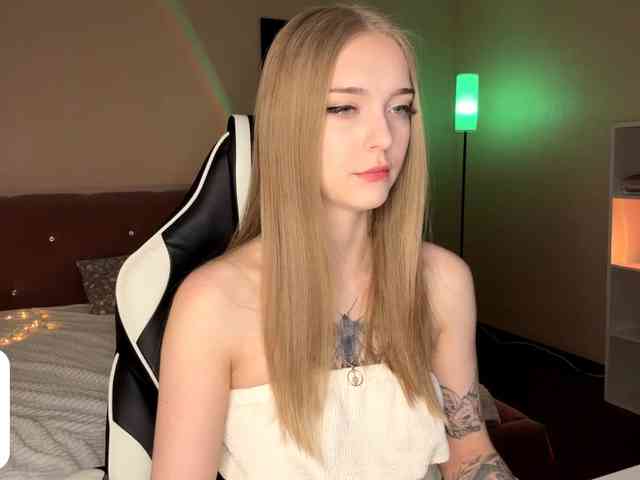 VersieBruegman webcam