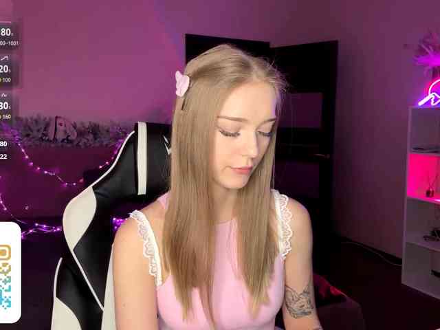 VersieBruegman webcam