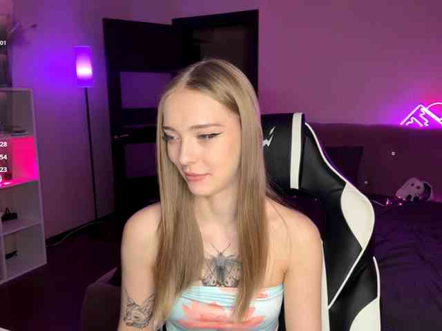 VersieBruegman webcam