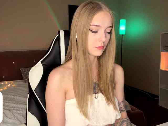 VersieBruegman webcam