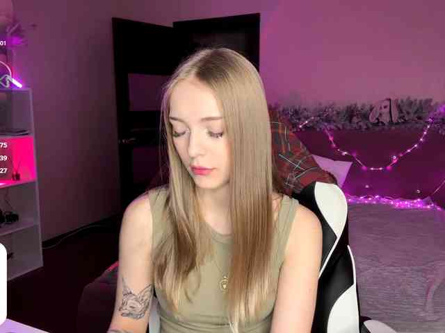 VersieBruegman webcam