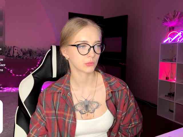 VersieBruegman webcam