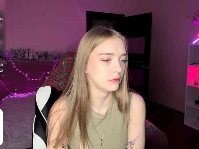 VersieBruegman webcam