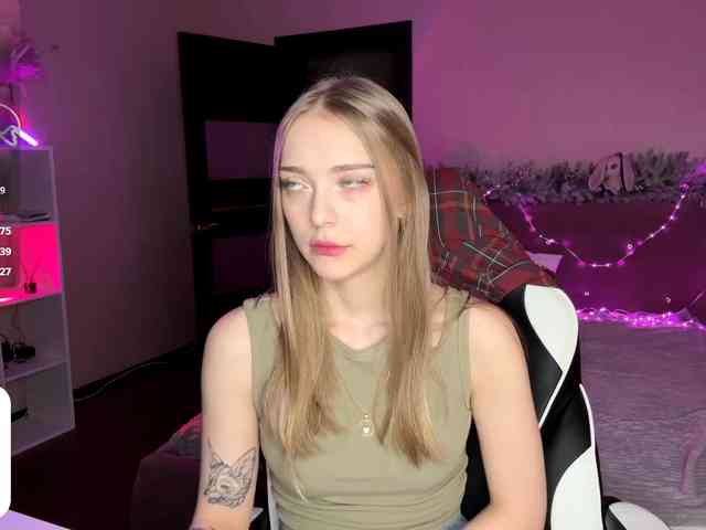 VersieBruegman webcam