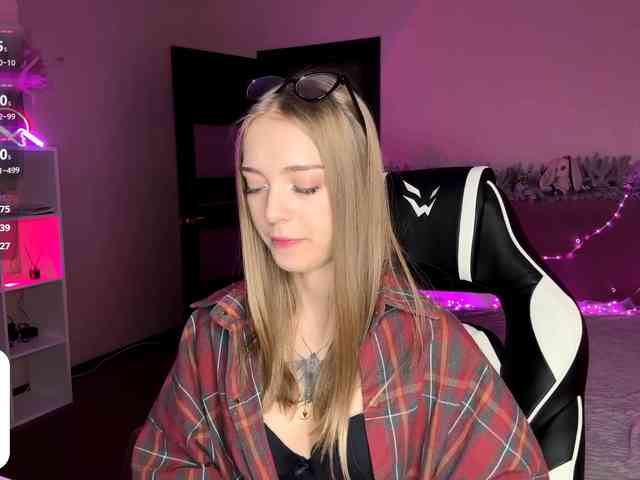 VersieBruegman webcam