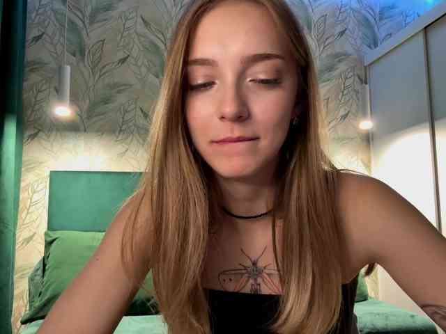 VersieBruegman webcam