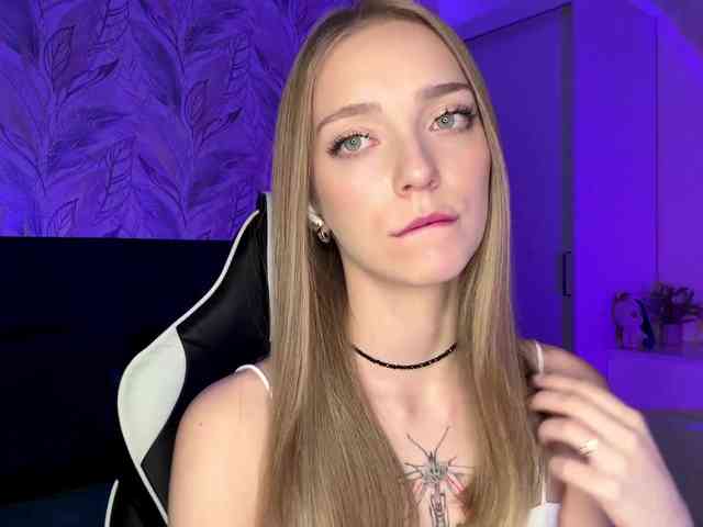 VersieBruegman webcam