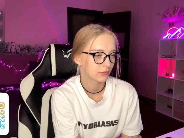 VersieBruegman webcam