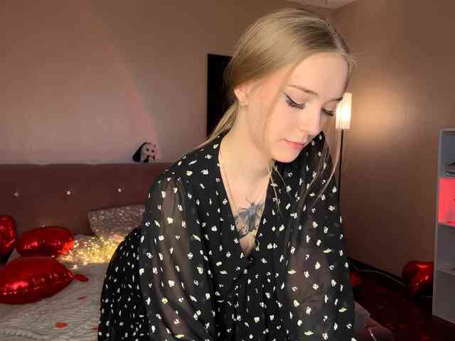 VersieBruegman webcam