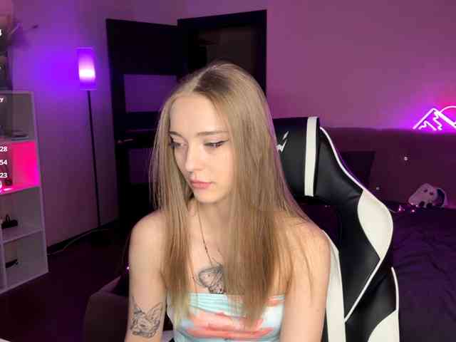 VersieBruegman webcam