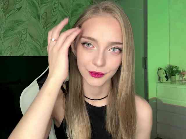 VersieBruegman webcam