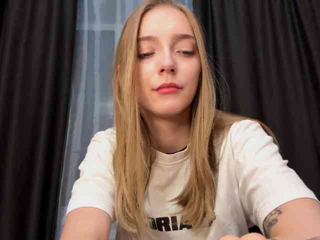 VersieBruegman webcam