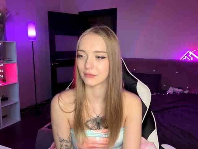 VersieBruegman webcam