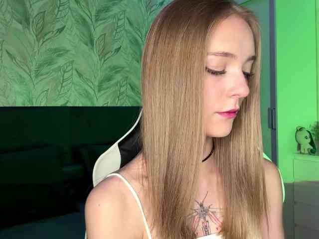 VersieBruegman webcam