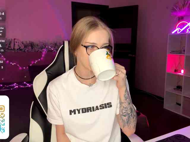 VersieBruegman webcam