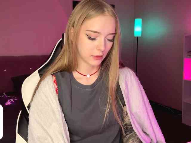 VersieBruegman webcam