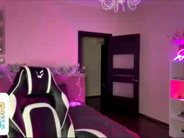 VersieBruegman webcam