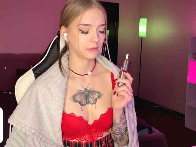 VersieBruegman webcam