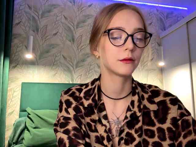 VersieBruegman webcam