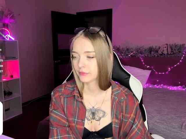 VersieBruegman webcam