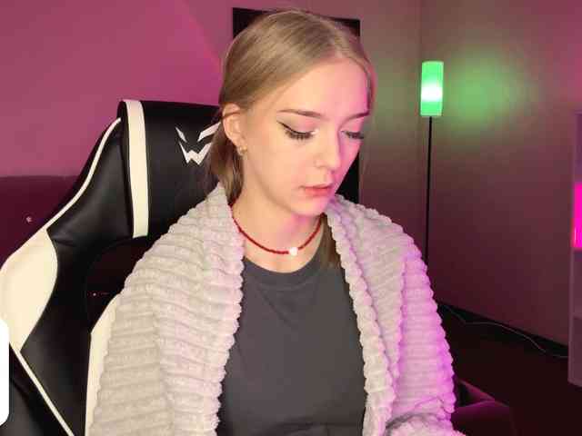 VersieBruegman webcam