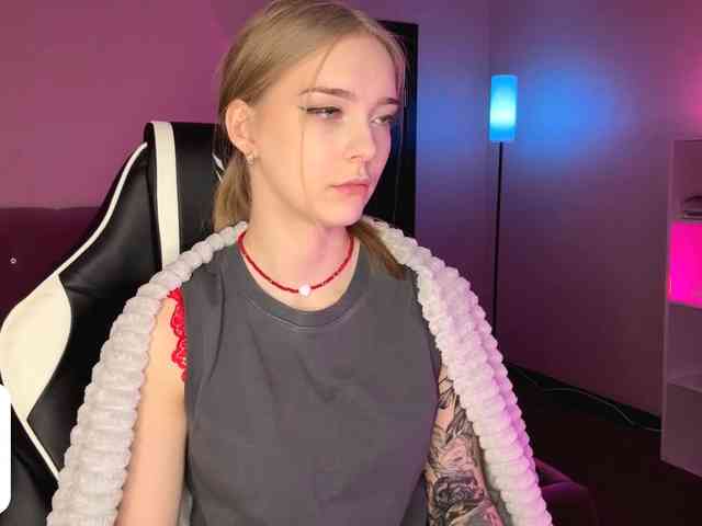 VersieBruegman webcam