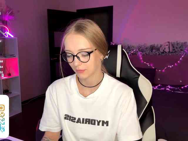 VersieBruegman webcam