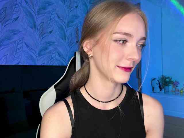 VersieBruegman webcam