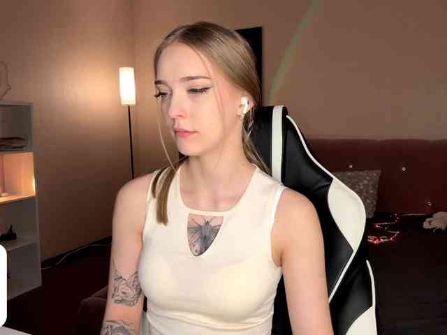 VersieBruegman webcam