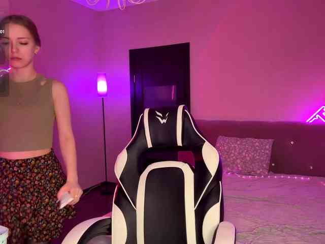 VersieBruegman webcam