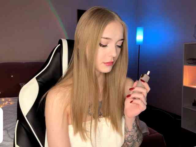 VersieBruegman webcam