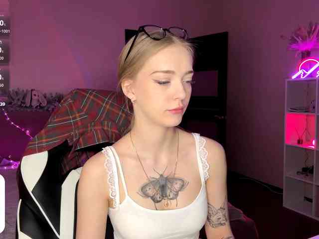 VersieBruegman webcam