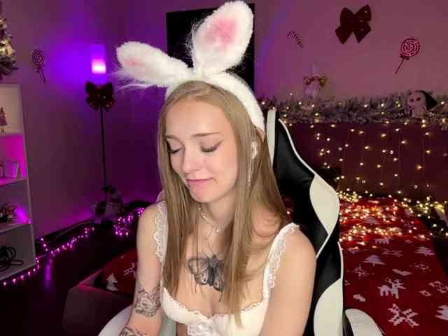 VersieBruegman webcam