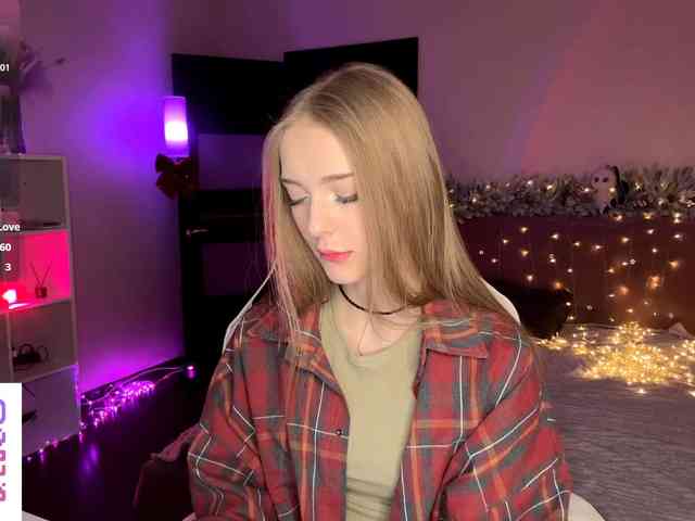 VersieBruegman webcam