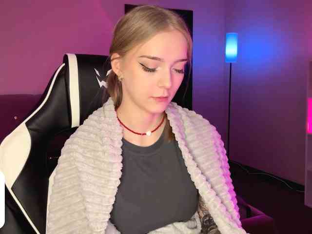 VersieBruegman webcam