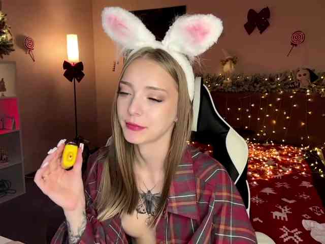 VersieBruegman webcam