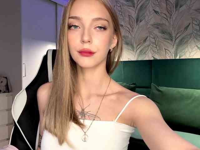 VersieBruegman webcam