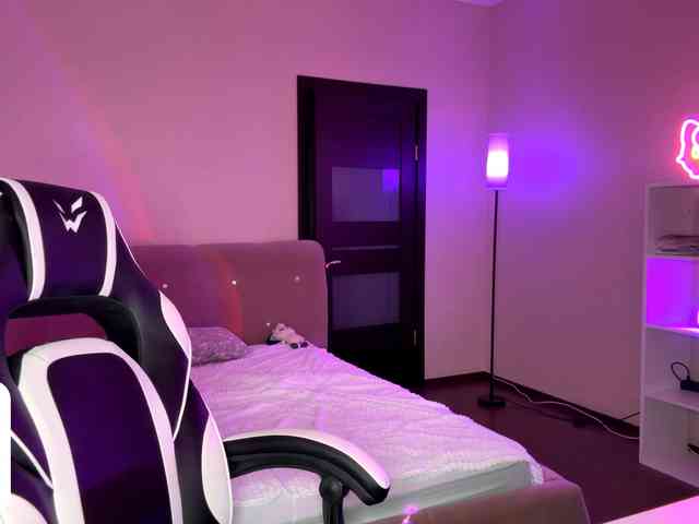 VersieBruegman webcam