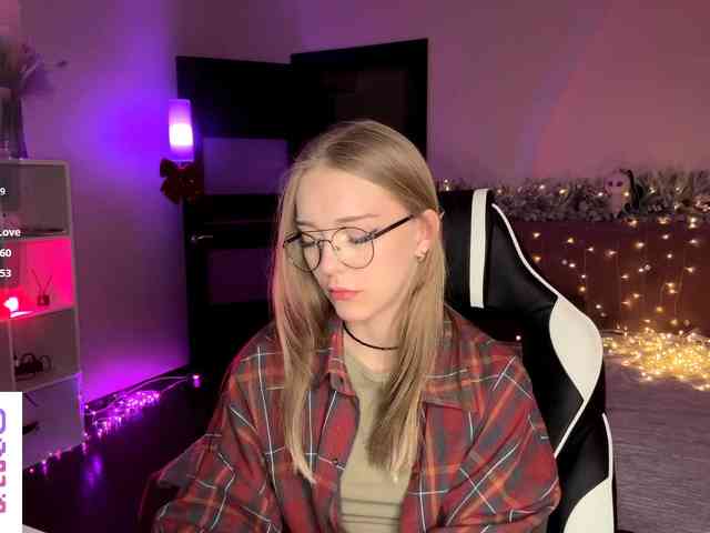 VersieBruegman webcam