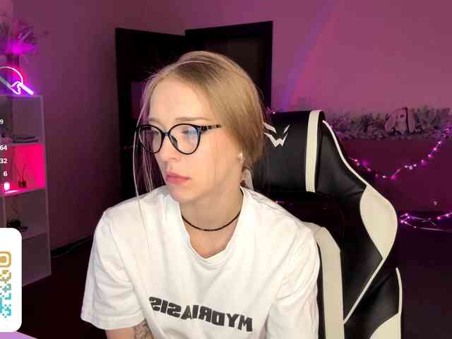 VersieBruegman webcam